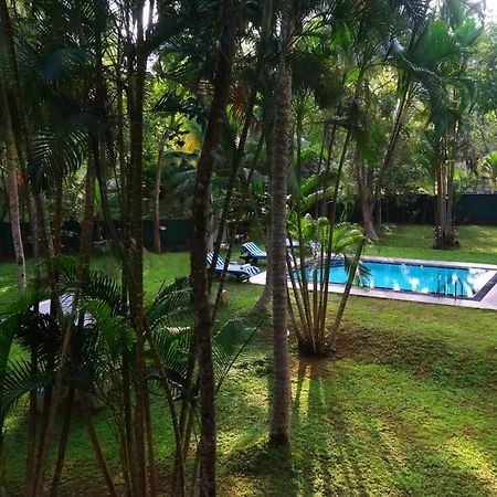 Chandra Villa Ayurveda Resort Μπεντότα Εξωτερικό φωτογραφία