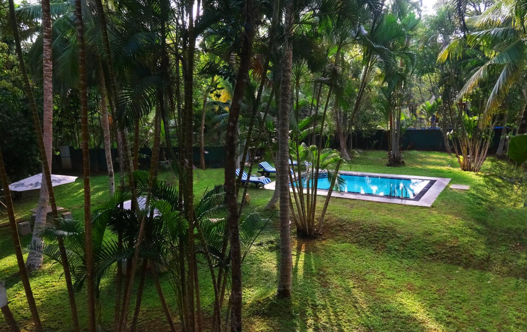 Chandra Villa Ayurveda Resort Μπεντότα Εξωτερικό φωτογραφία